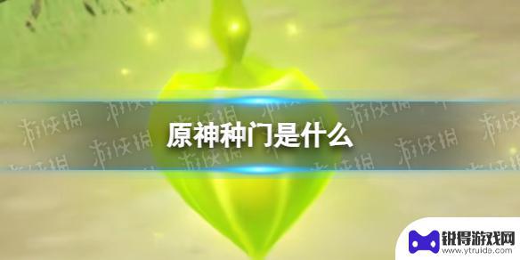原神 种门 《原神》种门是什么攻略