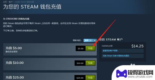 steam充值美元怎么花 怎么在Steam上充值5美元