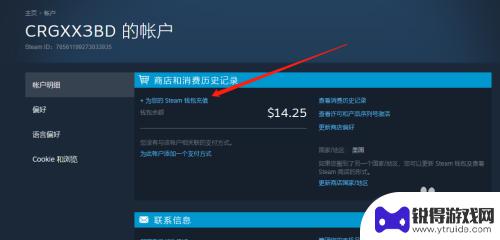 steam充值美元怎么花 怎么在Steam上充值5美元