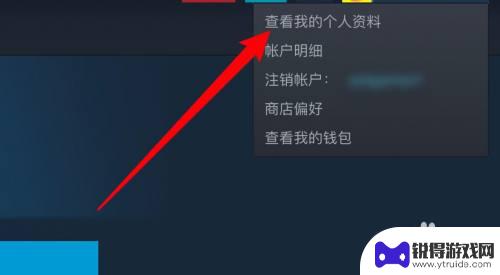 steam如何设置库存可见 Steam怎么设置库存为私密状态