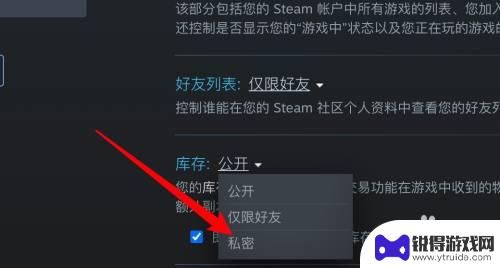 steam如何设置库存可见 Steam怎么设置库存为私密状态