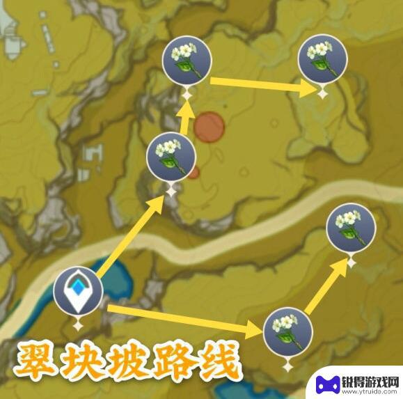 原神里的青心是什么 清心在哪里采集原神