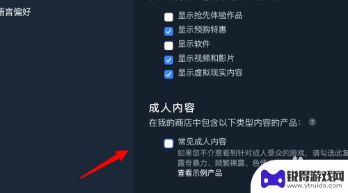 steam上面怎么看片 如何允许Steam显示成人游戏