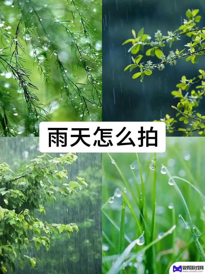 苹果或手机怎么拍雨滴 手机拍雨滴注意事项