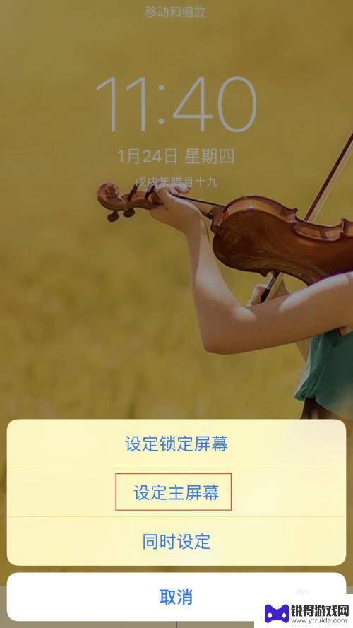 手机主屏动物壁纸怎么设置 iPhone怎么调整主屏幕的壁纸