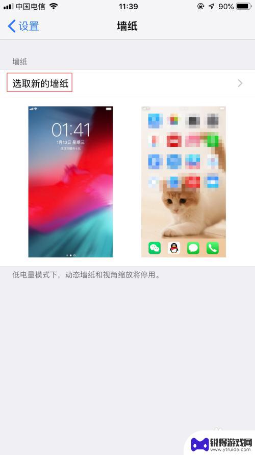 手机主屏动物壁纸怎么设置 iPhone怎么调整主屏幕的壁纸