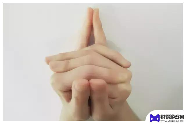 大日如来手势的意思 佛像手势的含义有哪些