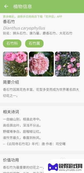 华为手机辨认植物 华为手机植物识别技巧