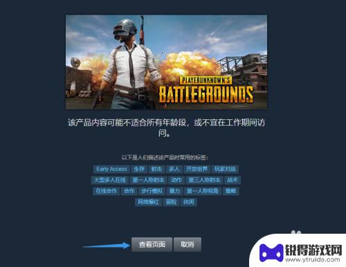 在steam上怎么买绝地求生 Steam上如何购买绝地求生