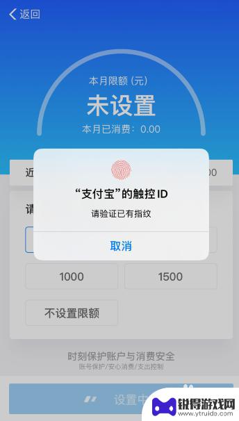 手机付款怎么设置金额 苹果手机支付限额设置方法