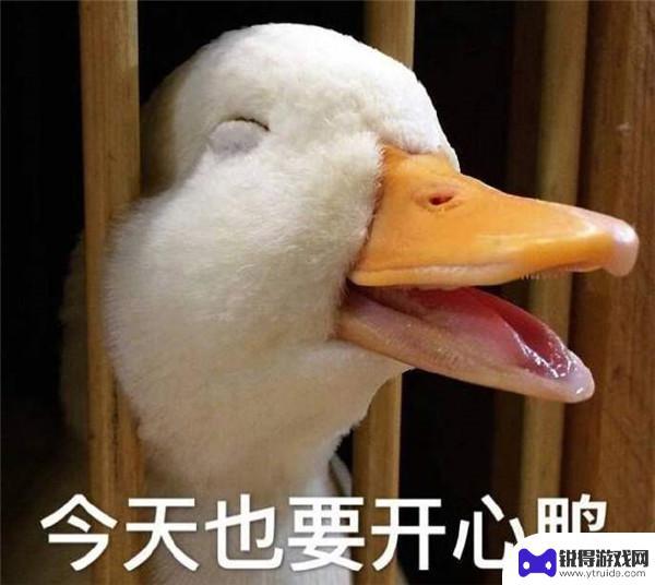 票房大卖王怎么样才能拍前传 票房大卖王续集拍摄技巧分享