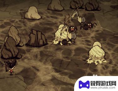 饥荒怎么让猪人变疯猪 饥荒游戏猪人如何转变为疯猪