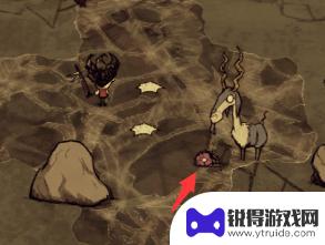 饥荒怎么让猪人变疯猪 饥荒游戏猪人如何转变为疯猪