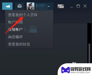 steam怎么开放资料 Steam资料公开方式