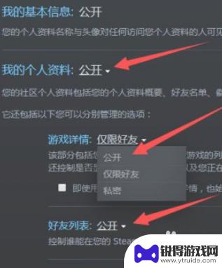 steam怎么更改隐私设置手机 手机Steam隐私设置公开方法