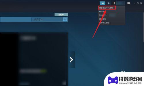 steam咋设置隐私模式 steam隐私设置攻略