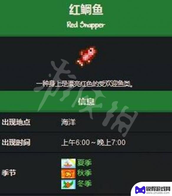 星露谷物语红鲷在哪里钓 星露谷物语红鲷鱼获取攻略