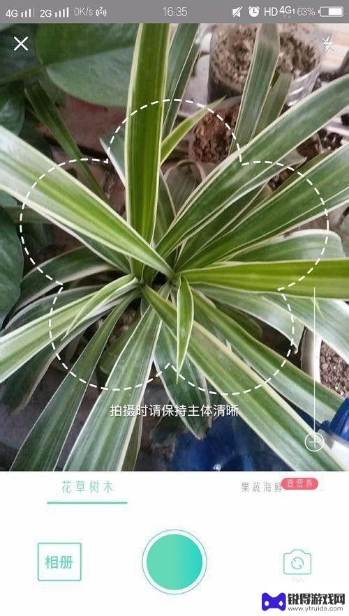 怎样用手机识别植物名称 手机拍照识别植物的方法