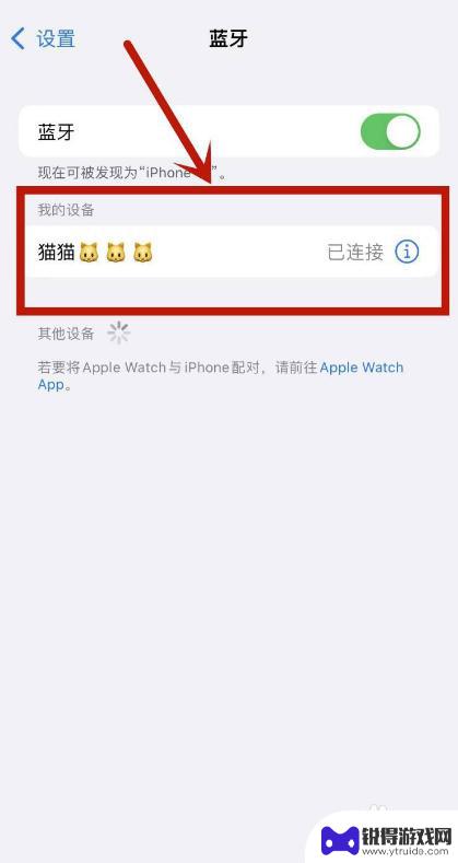 手机蓝牙打开了但是搜索不到设备苹果手机13p ro iPhone 13 Pro蓝牙搜索不到其他设备的解决方案