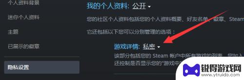 steam如何隐藏游戏不让好友看见 Steam怎么让好友看不到你正在玩的游戏