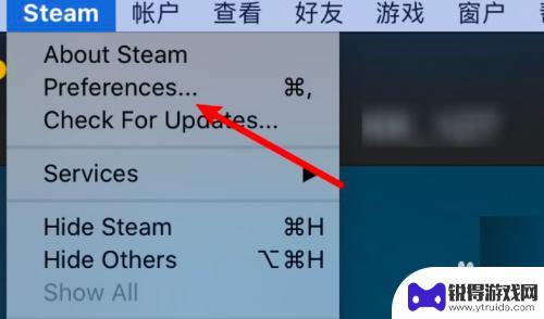 steam库界面栏变大 Steam怎么设置库界面显示大图标