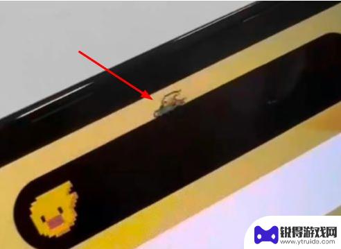 苹果手机上如何设置宠物 iPhone 14 Pro Max灵动岛宠物养护指南