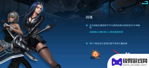女神星球如何合成装备 女神星球战魂奖励领取技巧