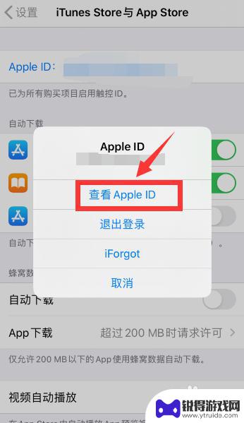 苹果手机如何微信付款 改变苹果手机支付方式为微信支付
