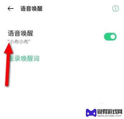 手机一锁屏就唤醒不了小布 oppo手机锁屏如何唤醒小布