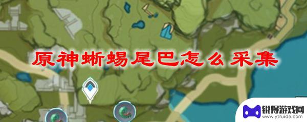 蜥蜴尾巴原神采集 原神蜥蜴尾巴采集方法