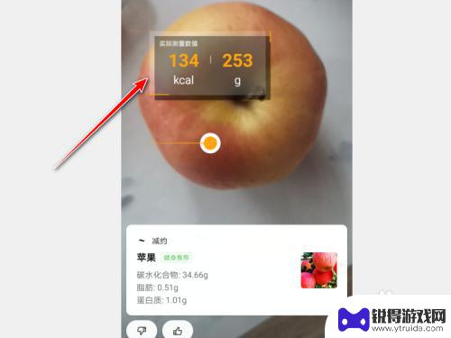 怎么用手机检测卡路里 怎样用荣耀手机检测食物的热量