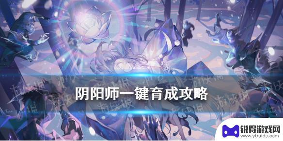 阴阳师怎么学成的 阴阳师一键育成怎么用攻略