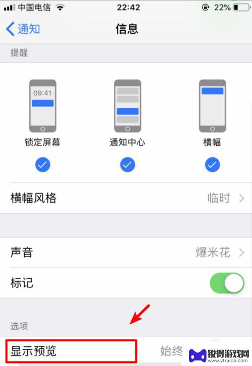 苹果手机短信提醒怎么不显示内容 iPhone手机如何设置短信不显示预览内容