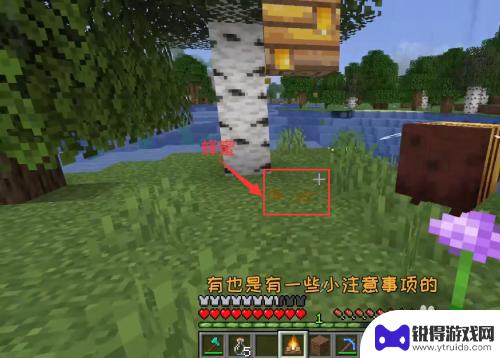 我的世界怎么取蜜蜂的蜜 我的世界蜜蜂怎么采蜜