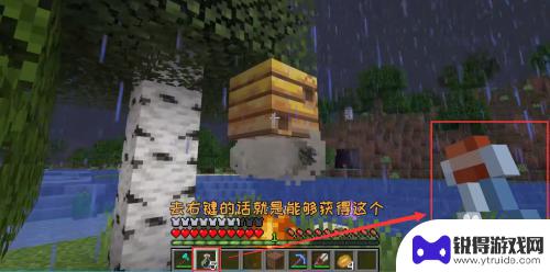 我的世界怎么取蜜蜂的蜜 我的世界蜜蜂怎么采蜜