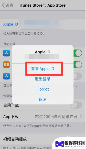 苹果手机怎么设置优先付款方式 苹果手机App store默认付款账户调整指南