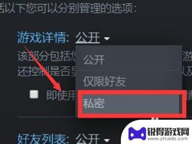 steam最近玩过的游戏怎么隐藏 怎样在Steam上隐藏自己在玩的游戏