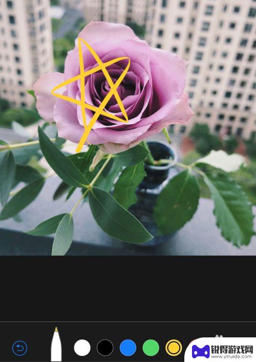 手机如何加入摄影圈圈 苹果手机怎么在照片上画圈