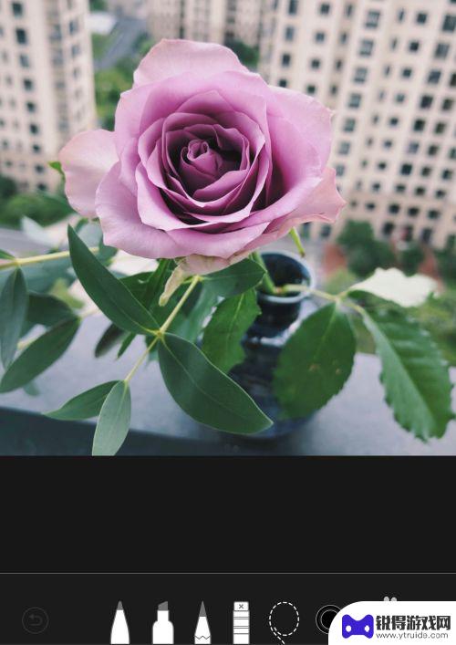 手机如何加入摄影圈圈 苹果手机怎么在照片上画圈