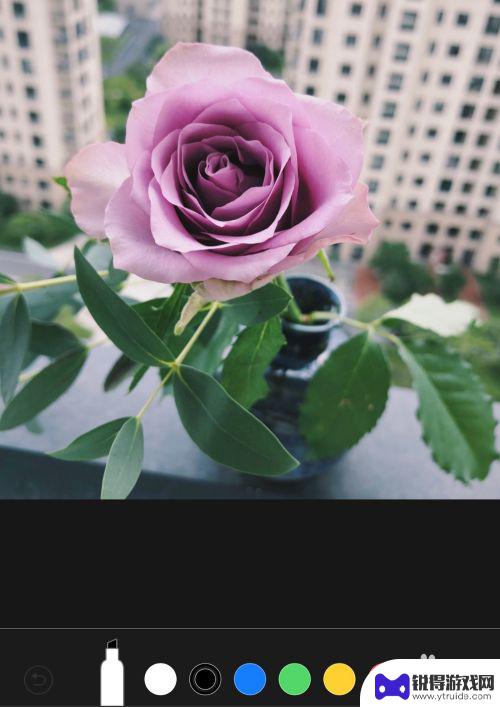 手机如何加入摄影圈圈 苹果手机怎么在照片上画圈