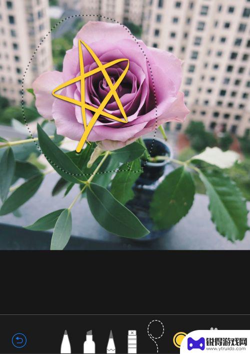手机如何加入摄影圈圈 苹果手机怎么在照片上画圈