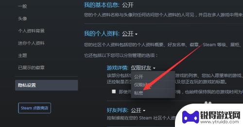 steam怎么不让好友看到我的游戏 Steam怎样让好友看不到你在玩什么游戏