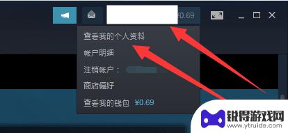 steam怎么不让好友看到我的游戏 Steam怎样让好友看不到你在玩什么游戏