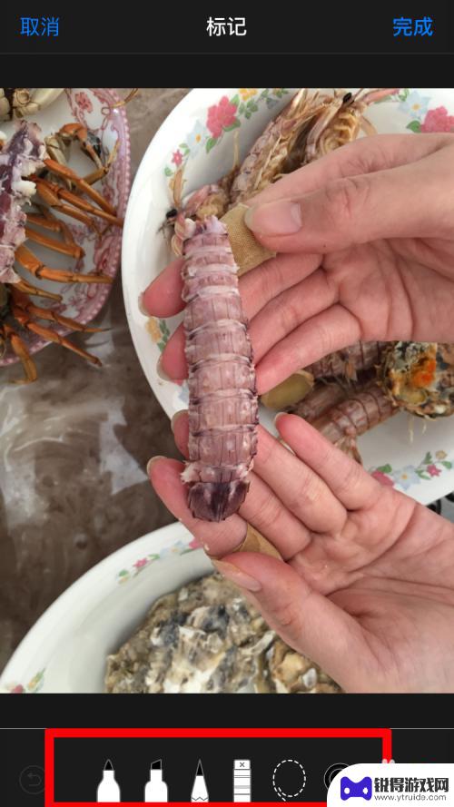 苹果手机怎么在图片上做标记 如何在苹果手机照片上添加标记