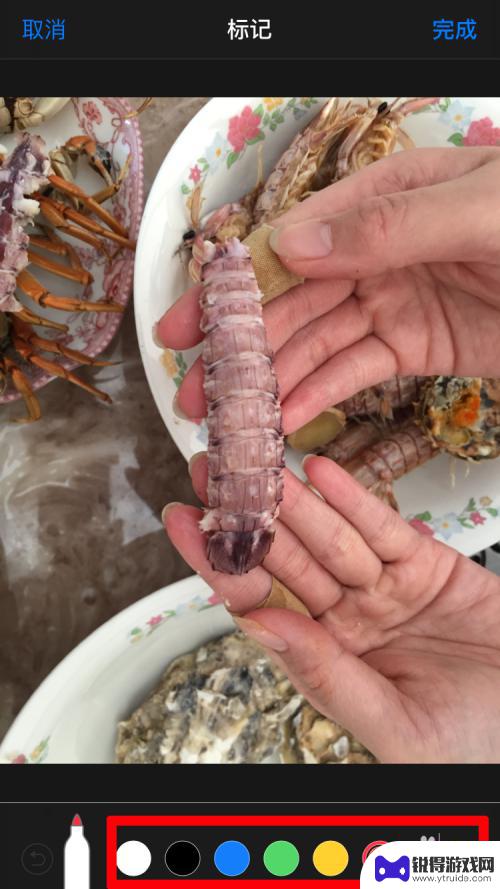 苹果手机怎么在图片上做标记 如何在苹果手机照片上添加标记