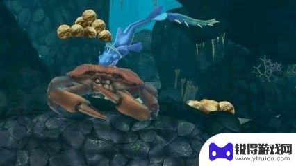 饥饿鲨进化怎么才能打败大螃蟹 如何在饥饿鲨鱼游戏中战胜螃蟹王