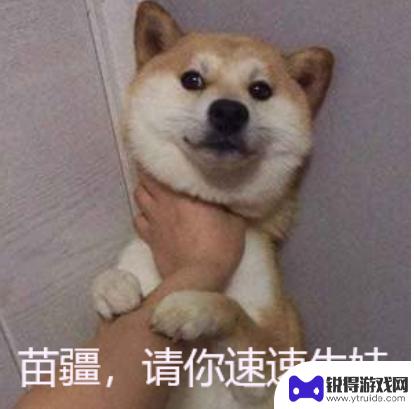 叫我大掌柜怎么养出高徒 叫我大掌柜徒弟培养玩家投稿