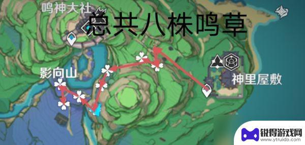 原神鸣草如何采集 《原神》鸣草采集路线攻略