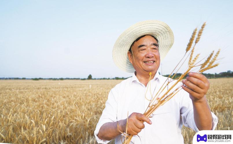 守望丰收的楝树下——记安徽太和县现代农业科技试验示范基地党支部书记徐淙祥