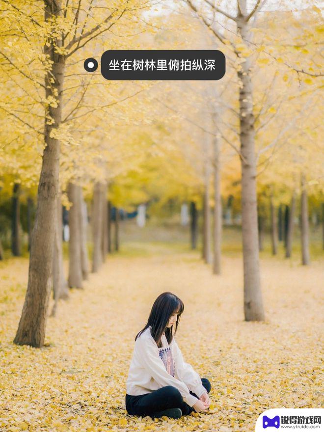 手机如何拍银杏照好看 银杏人像摄影技巧